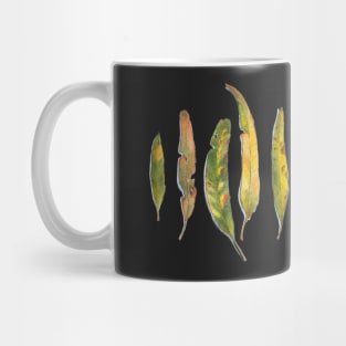 Eucalyptus Leaves - Gum Leaves - Gumtree Leaves in Watercolour - by Nadya Neklioudova Mug